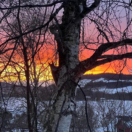 Tommen'S Crib Lägenhet Hemsedal Exteriör bild
